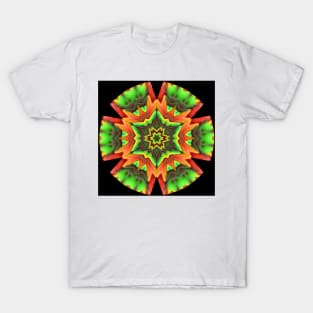 Vibrant Earth Medallion T-Shirt